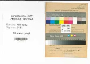 Entnazifizierung Josef Bildstein , geb. 22.11.1899 (Brandmeister)