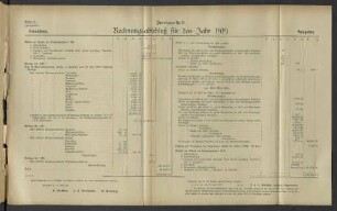 Zweiganstalt. Rechnungsabschluß für das Jahr 1919.