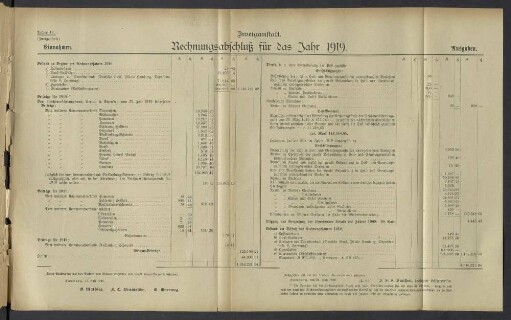 Zweiganstalt. Rechnungsabschluß für das Jahr 1919.