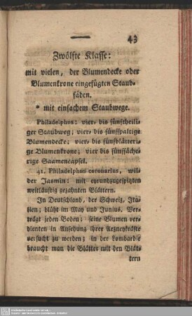 Zwölfte Klasse: mit vielen, der Blumendecke oder Blumenkrone eingefügten Staubfäden