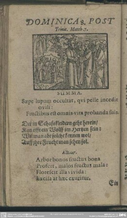 Dominica 8. Post Trinit. Matth. 7.