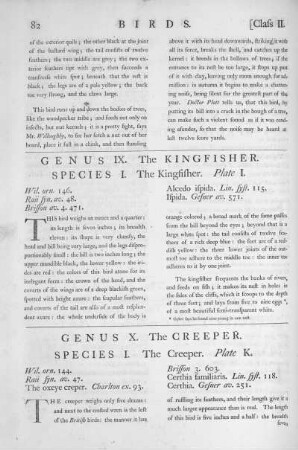 Genus IX. The Kingfisher
