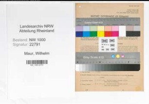 Entnazifizierung Wilhelm Maur, geb. 23.07.1911 (Architekt)