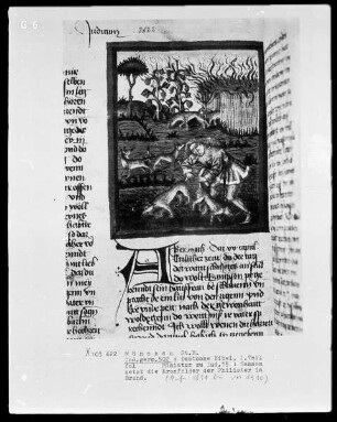 Deutsche Bibel, das Alte Testament in zwei Teilen — Samson setzt die Kornfelder der Philister in Brand