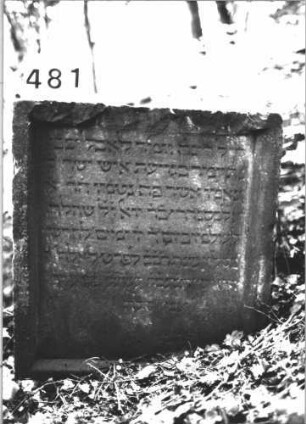 Grabstein 481 (Index: 100113618) Material: Sandstein Maße HxBxT: 70x70x13 cm Besonderheit: kulturhistorisch besonders wertvoll / hist.-wiss. Gründe (Alter): Grabstein 481