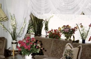 Wohnzimmer mit Couch und Fensterbank