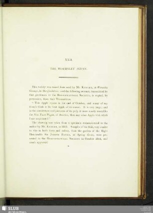 XXII. The Wormsley Pippin