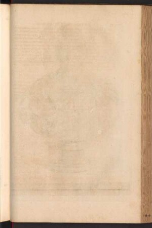 pag. 349