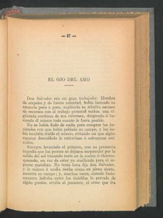 El ojo del amo