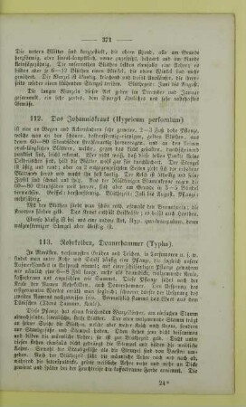 112. Das Johanniskraut (Hypricum perforatum)