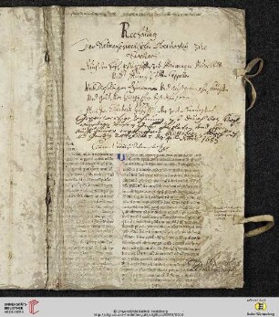 Lib. II, Tit. XIV: De dolo et contumacia, Cap. VIII