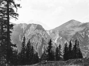 Im Gebirge : Blick über ein Gebirge mit Tannen im Vordergrund