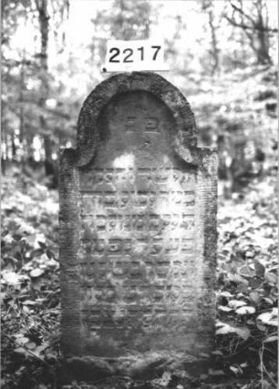 Grabstein 2217