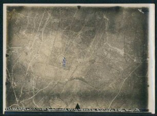Foto des Geländes im "Rondellwald" südlich von Ypern (Luftbild)
