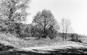 Wittichenau-Dubring. Pasternackmühle, Stätte der ehem. Dubringer Wassermühle; der Weg führte mitten durch den Mühlenhof