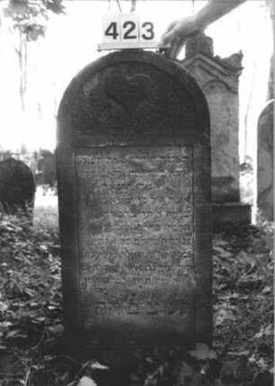 Grabstein 423