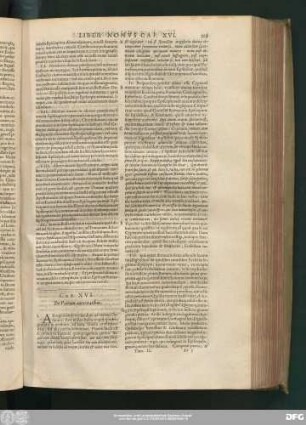 Cap. XVI. De Patrum autoritatibus.