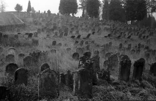 Schmieheim: Judenfriedhof bei Schmieheim