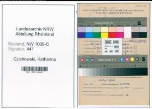 Entnazifizierung Katharina Czichowski , geb. 15.06.1906 ()