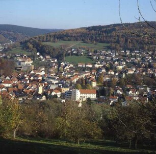 Bad Orb. Ortsansicht