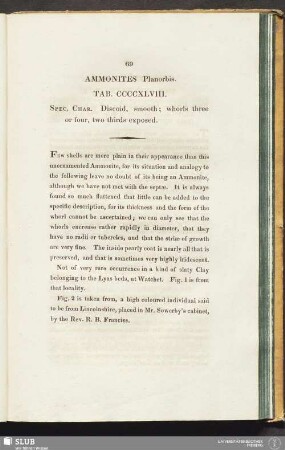 Ammonites Planorbis. Tab. CCCCXLVIII