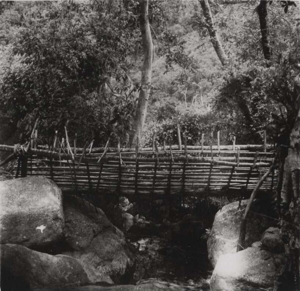 Bridge over the Rio Donachui