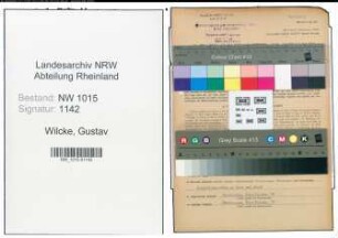 Entnazifizierung Gustav Wilcke , geb. 18.01.1888 (Kaufmaennischer Angestellter)