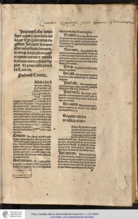 Turnhout, Johannes de: Casus breves super totum corpus legum