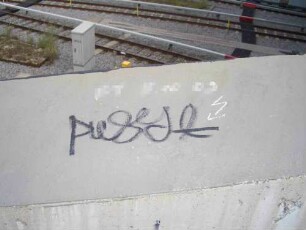 PuSY*