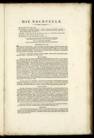 Die Nachteule [bis] Die Halbweye