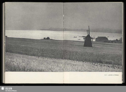 Landschaft auf Mönchgut