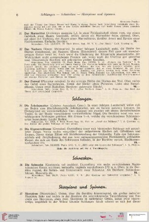 Skorpione und Spinnen (Nr. 37 - 39)