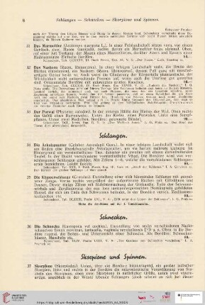 Skorpione und Spinnen (Nr. 37 - 39)