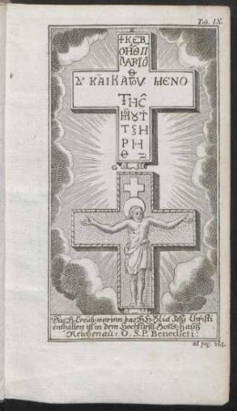 Tab. IX. ad pag. 265