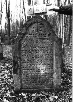 Grabstein 459 (Index: 99752838) Material: Sandstein Zustand: leicht verwittert Maße HxBxT: 113x68x8 cm Beschreibung: Stele, doppelt eingezogener Rundbogenabschluß, Schriftfeld eingetieft Symbolik: Schriftband: Grabstein 459
