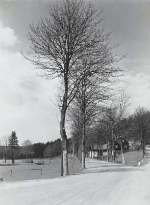 Straße, Seyde