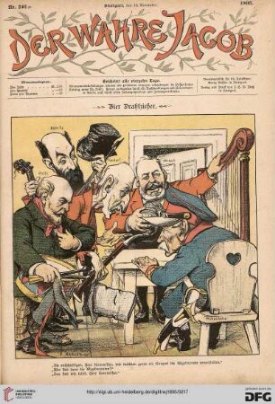 Nr. 243 (16. November 1895)