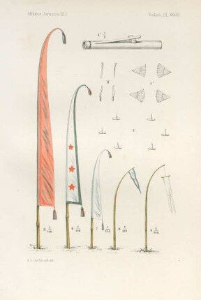 Pl. XXXVI