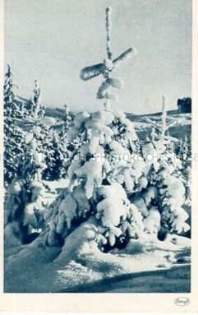 Winterlandschaft