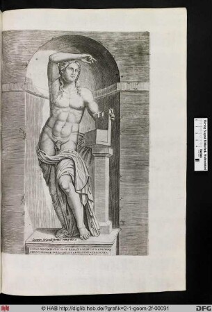 Der Hermaphrodit (Apollo) der Villa Farnese.