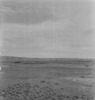 Graslandschaft : Blick über Kultur- und Weidelandschaft