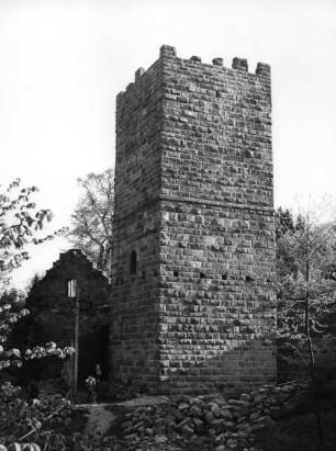 Burg Wildenburg
