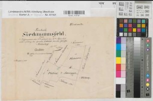 Ahlen (Ahlen), Teilung der Gemeinheit Siekmannsfeld, Reinkarte