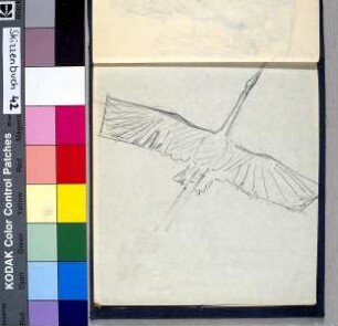 Fliegender Kranich