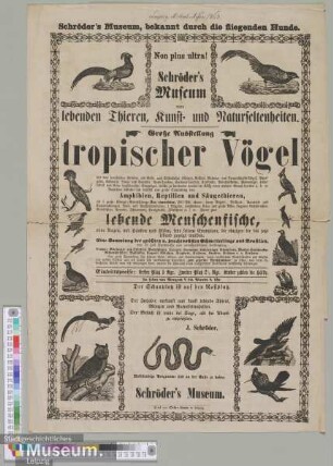 Große Ausstellung tropischer Vögel