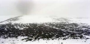 Feld im Nebel, Pielitz bei Bautzen