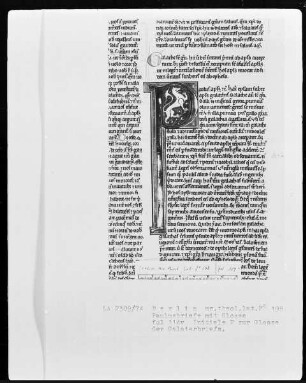 Paulusbriefe mit Glossen — Initiale P (AULUS), darin ein Löwe, Folio 114verso
