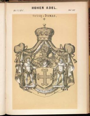 Taf. 120. Herzog v. Damas, †