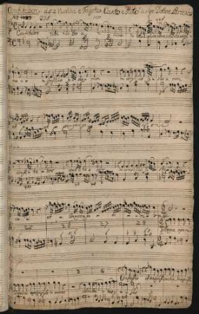 Confitebor; V (2), orch, bc; g-Moll