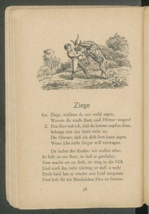 Ziege
